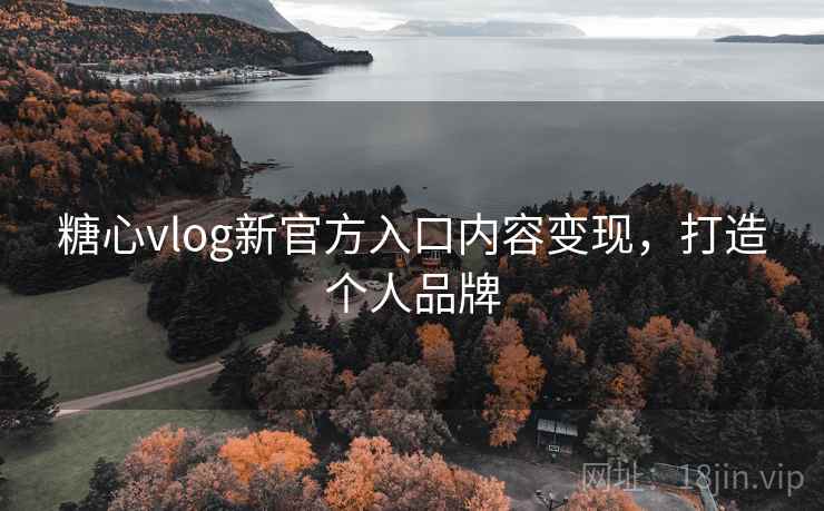 糖心vlog新官方入口内容变现，打造个人品牌